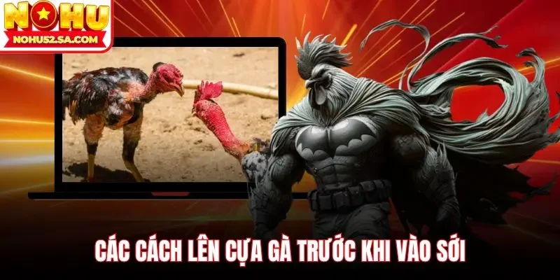 Các cách lên cựa gà trước khi vào sới