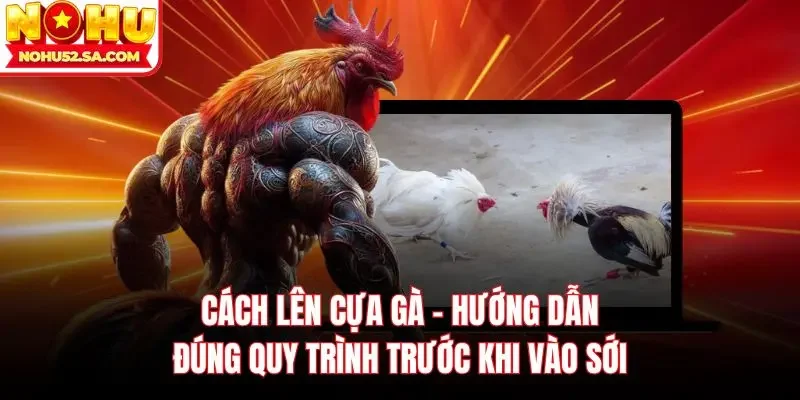 Cách lên cựa gà